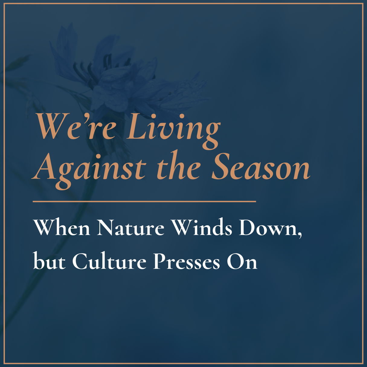 Focus — All Articles — Dr. Zelana Montminy
